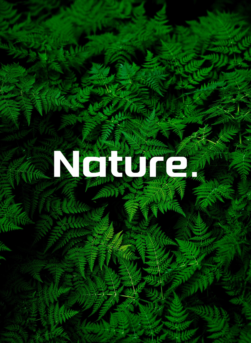 XY-230104-ZTQXYLOGOT-10