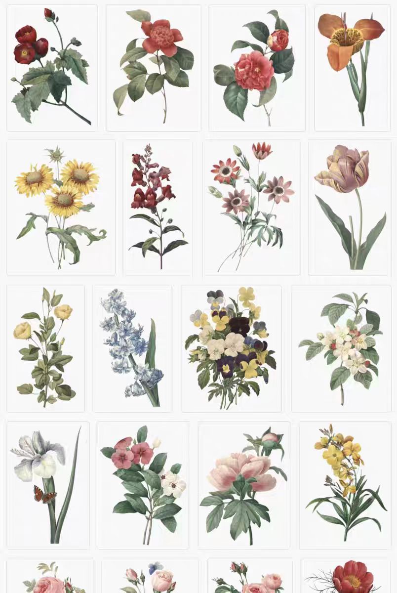 202405061714986913656589