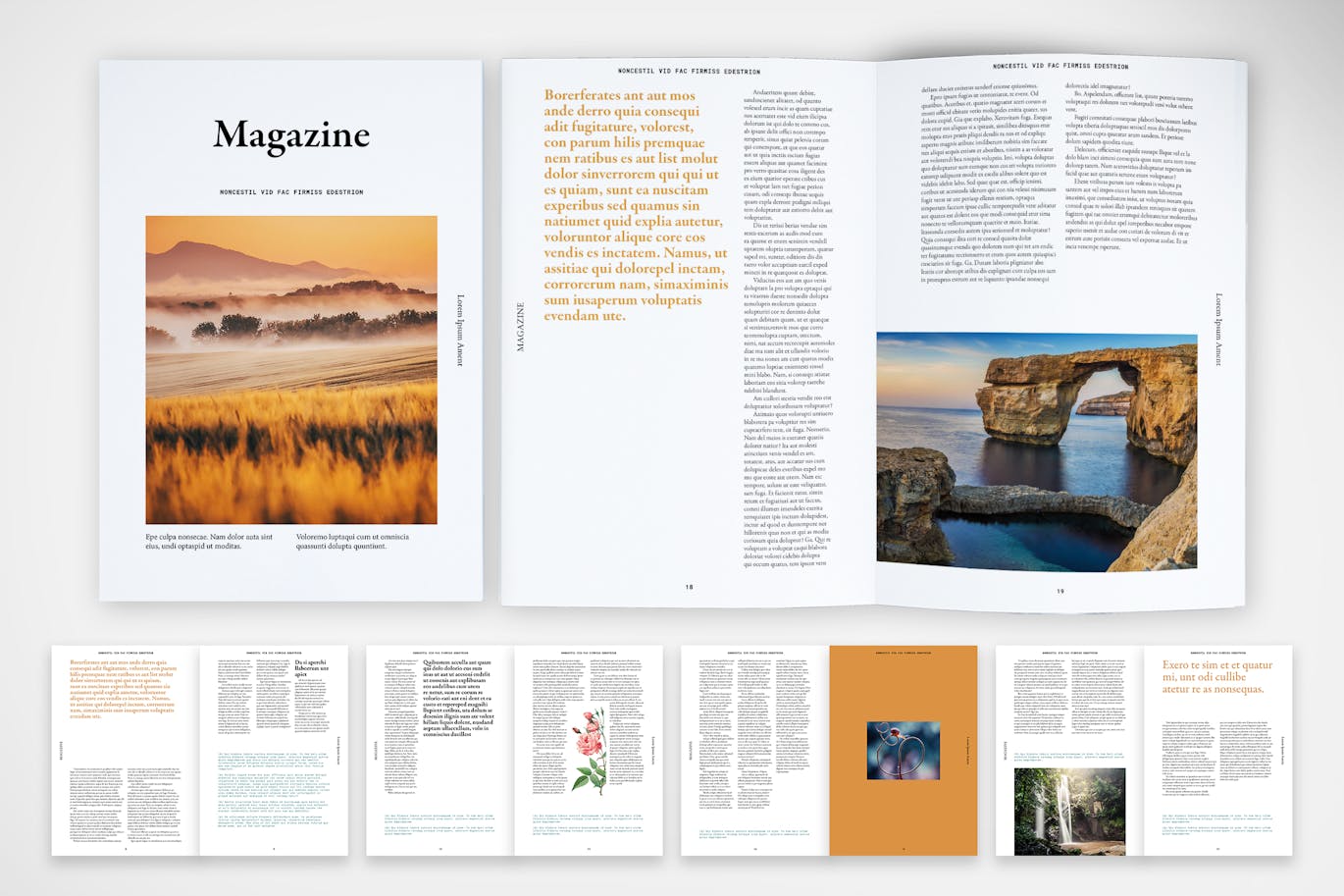 1ea6a420-ca82-40cc-aed1-4d0d45a3ab3a