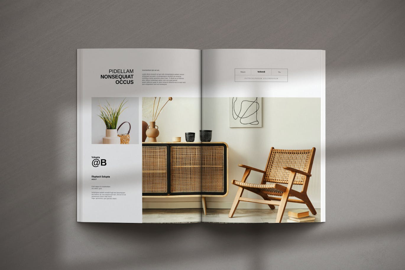 6b3b72bd-0c97-4f2e-8d23-fa9535ea7f14