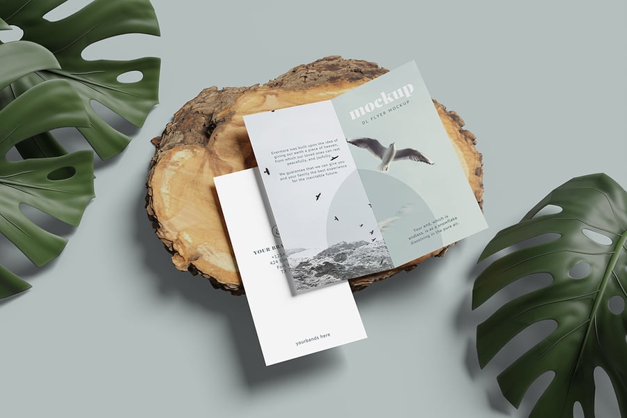 0e667568-1ccb-463f-98f2-5d87a3046538