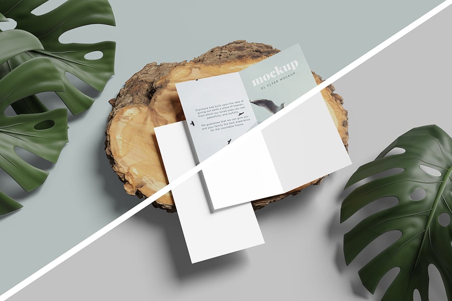 5d62105b-1e0e-480a-8480-b18caa22a6a8