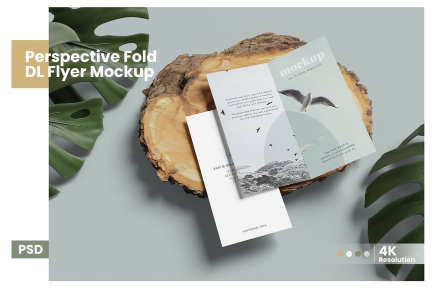 56cb1e35-0df5-42a3-aed9-982bddc0a1ea-1