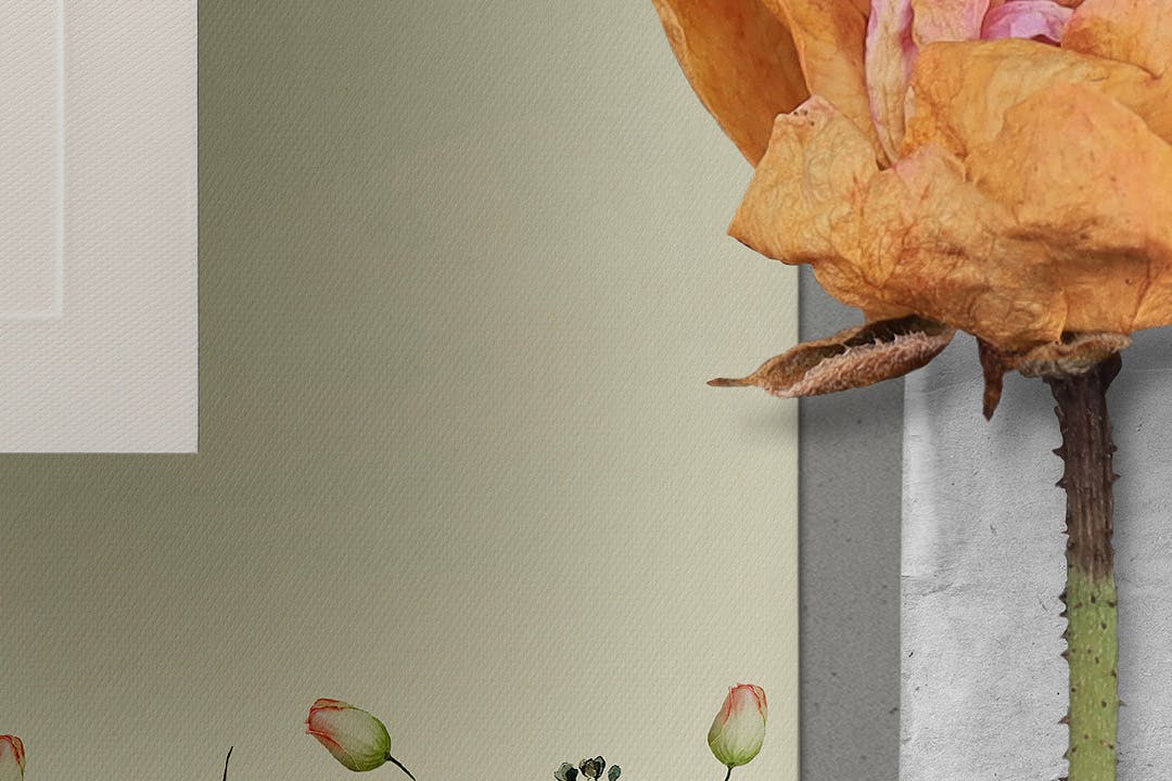 e204767a-46f6-47e8-91ef-e39b83bba647