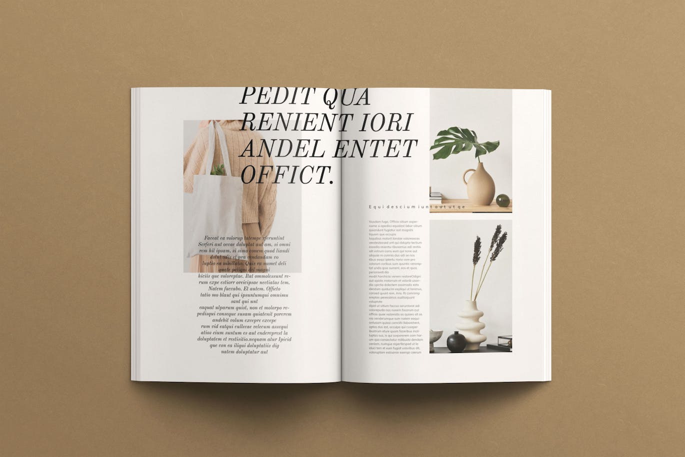 d36e2724-537e-4f32-8b32-796fd35aa4c5