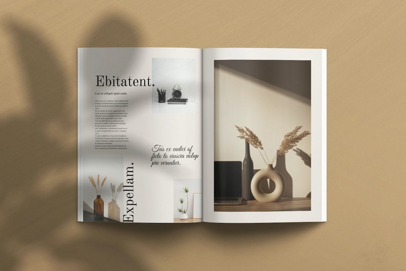 71e31989-dda7-40bd-977e-0b3ad6a26352