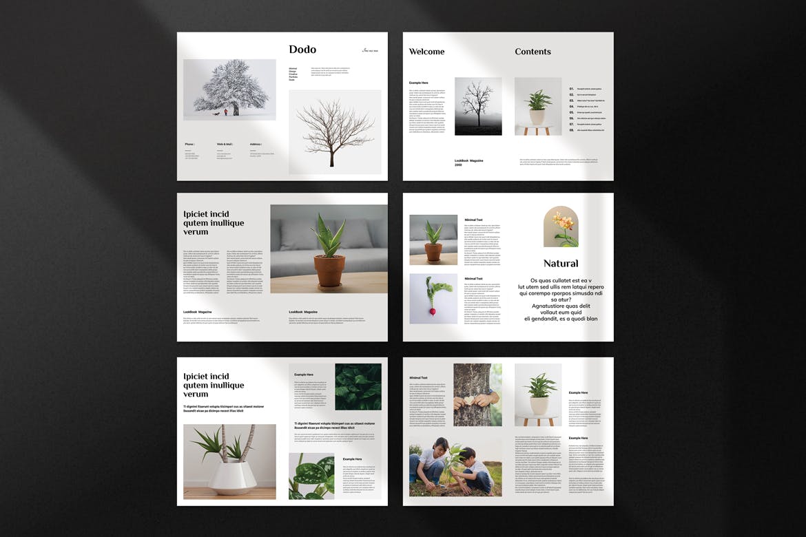 4fc12b2b-1a67-4830-9f82-5549c0da6c3b