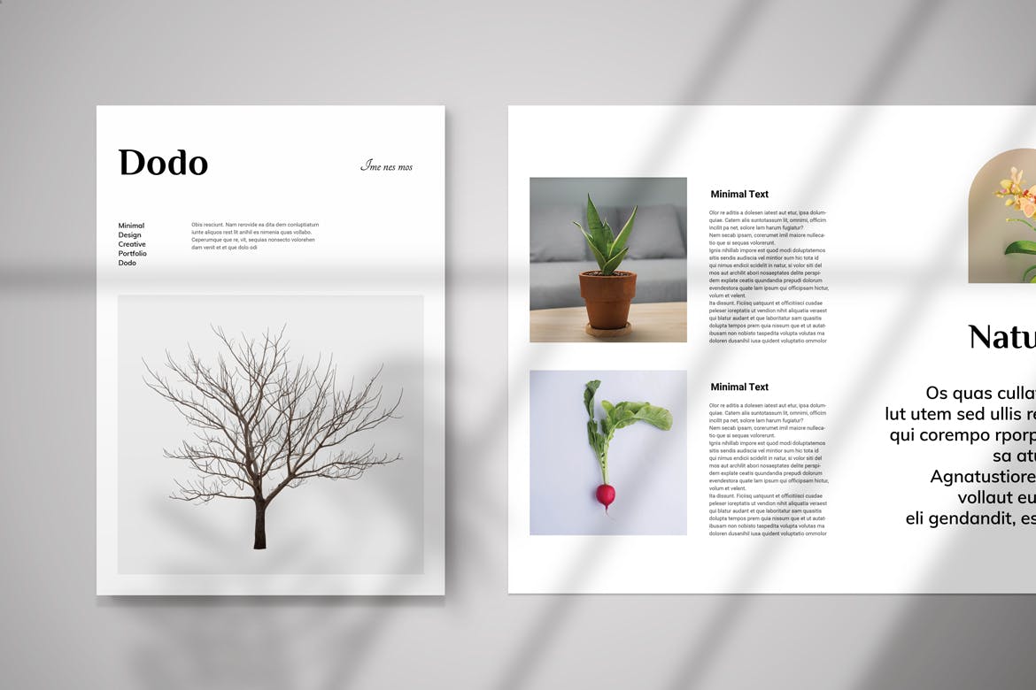 b7d5b9c7-e24c-4919-a3e8-44d3e848575f