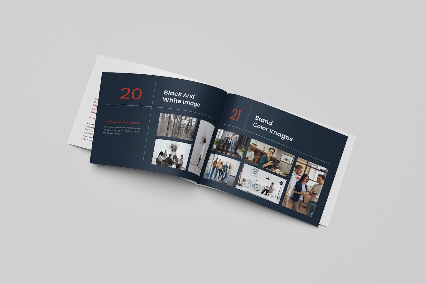 cb8450e3-f9dc-4bc5-9e96-7ca56ea272ee