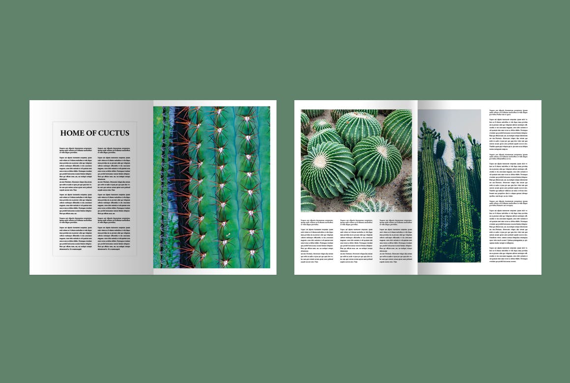 ef03b9a6-3faf-4fdf-bde4-bf1bbef331e6