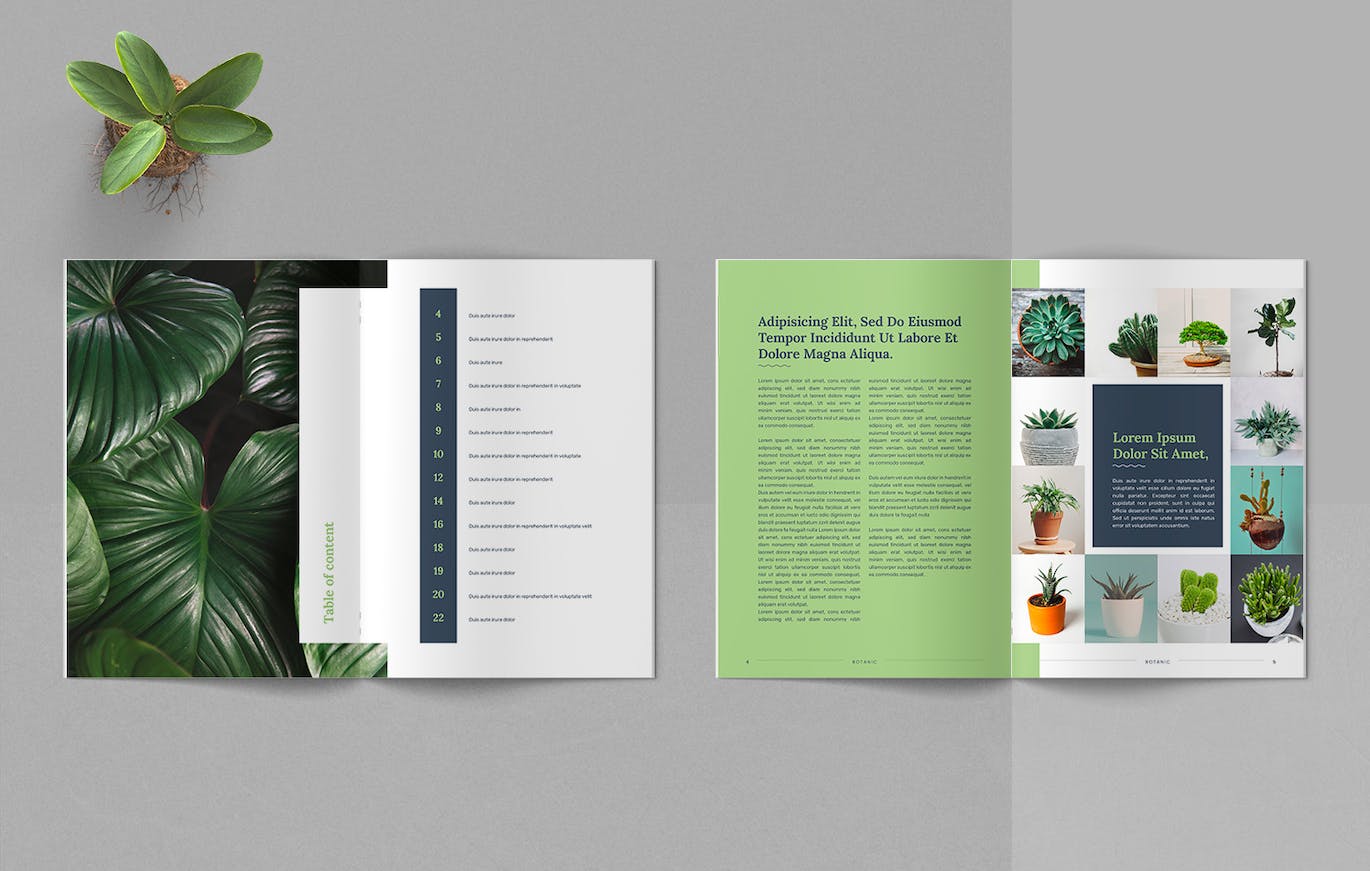 12c278df-d6cd-4e67-b380-e40ff3a3bfee