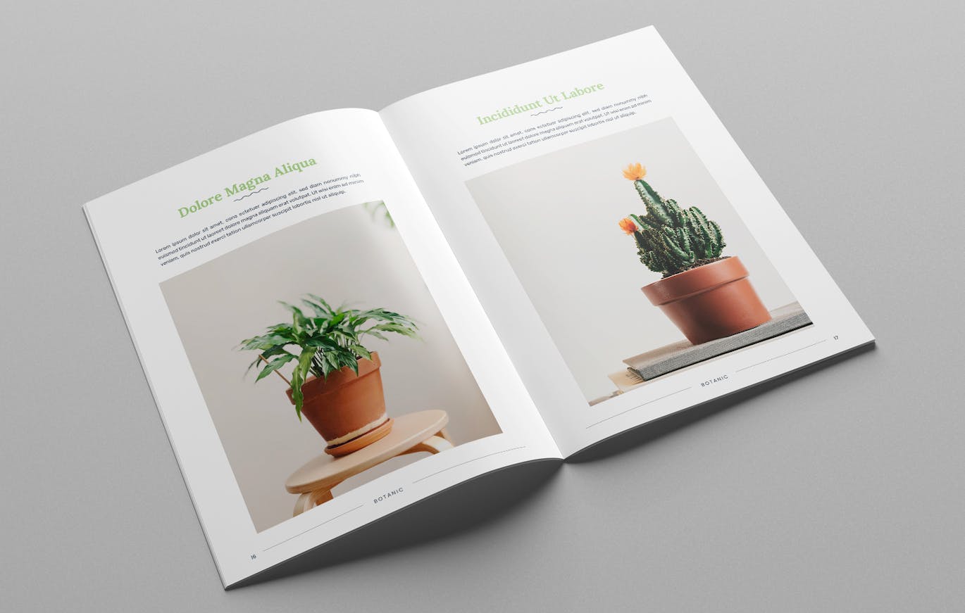 40952621-f06d-4b96-9d7a-287a27fd68ae