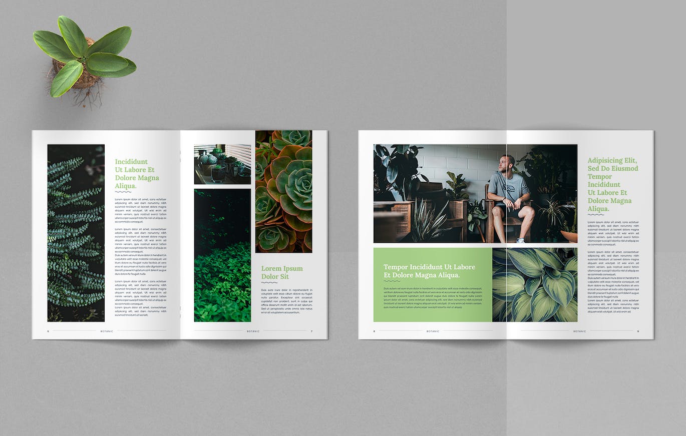 d48af263-7750-4cc2-8b6c-341c81ffff1e