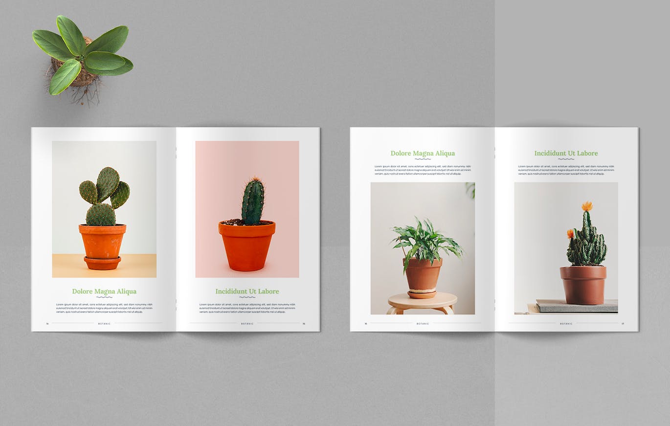 ec41f131-772f-451e-a3f9-a81aa28a4c09