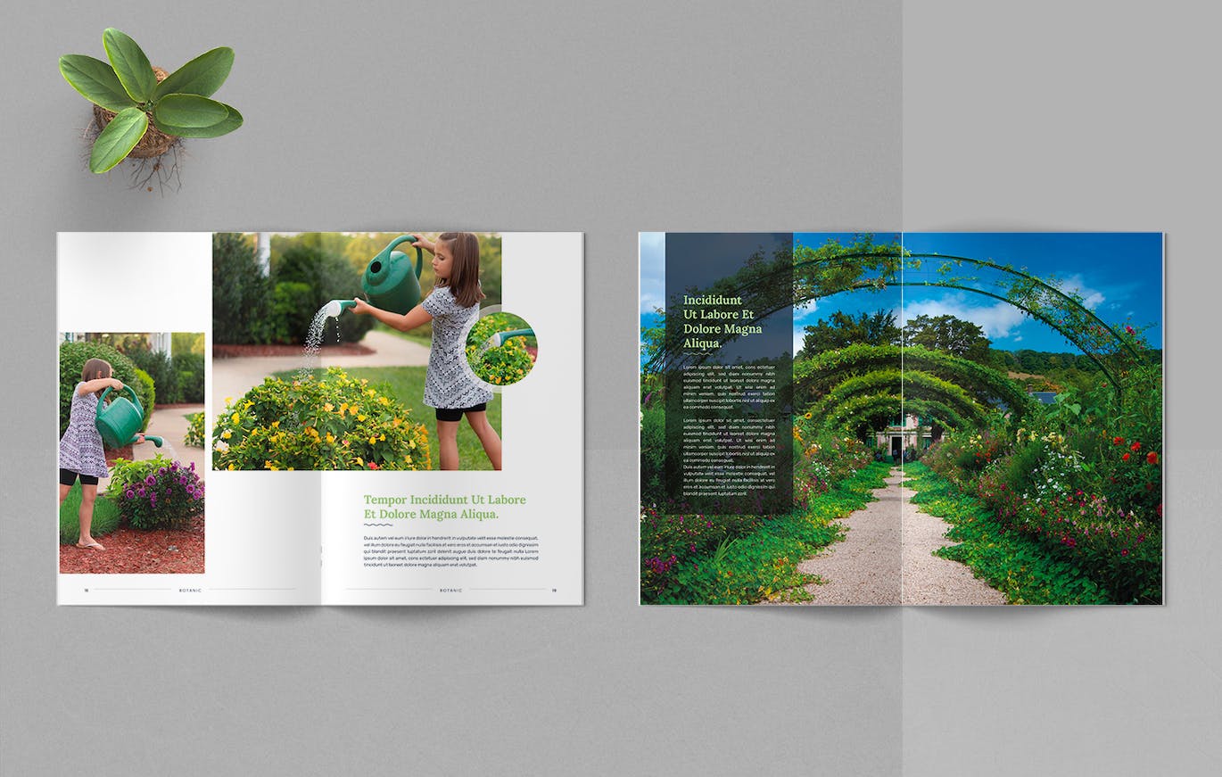 7a8820d4-84fb-4f69-84e4-b7f2c47d5623