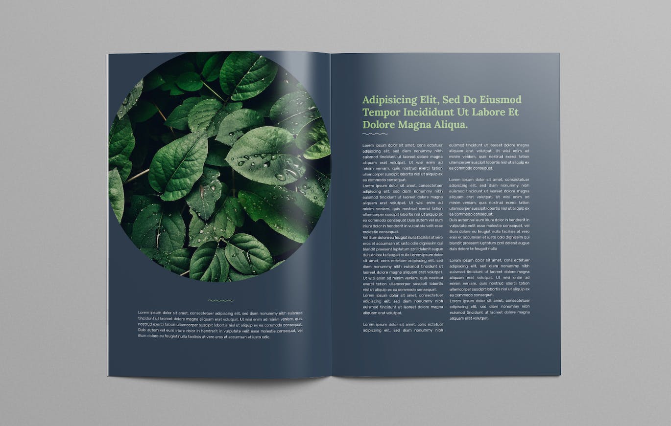 efe37af3-3ff8-489f-970e-255098b8ba77