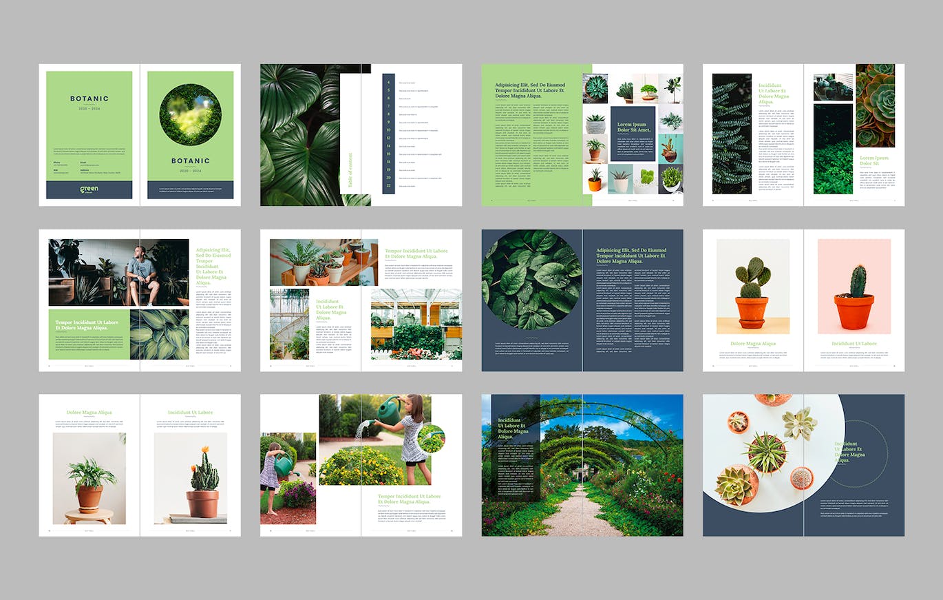 fd26dec4-1818-4582-a447-579c7177d3b2