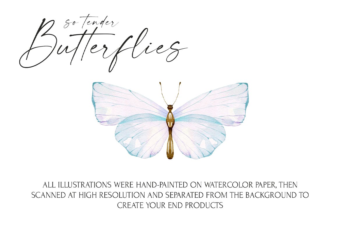 ee8ee38e-456d-4124-8f7d-bbe2ab517188