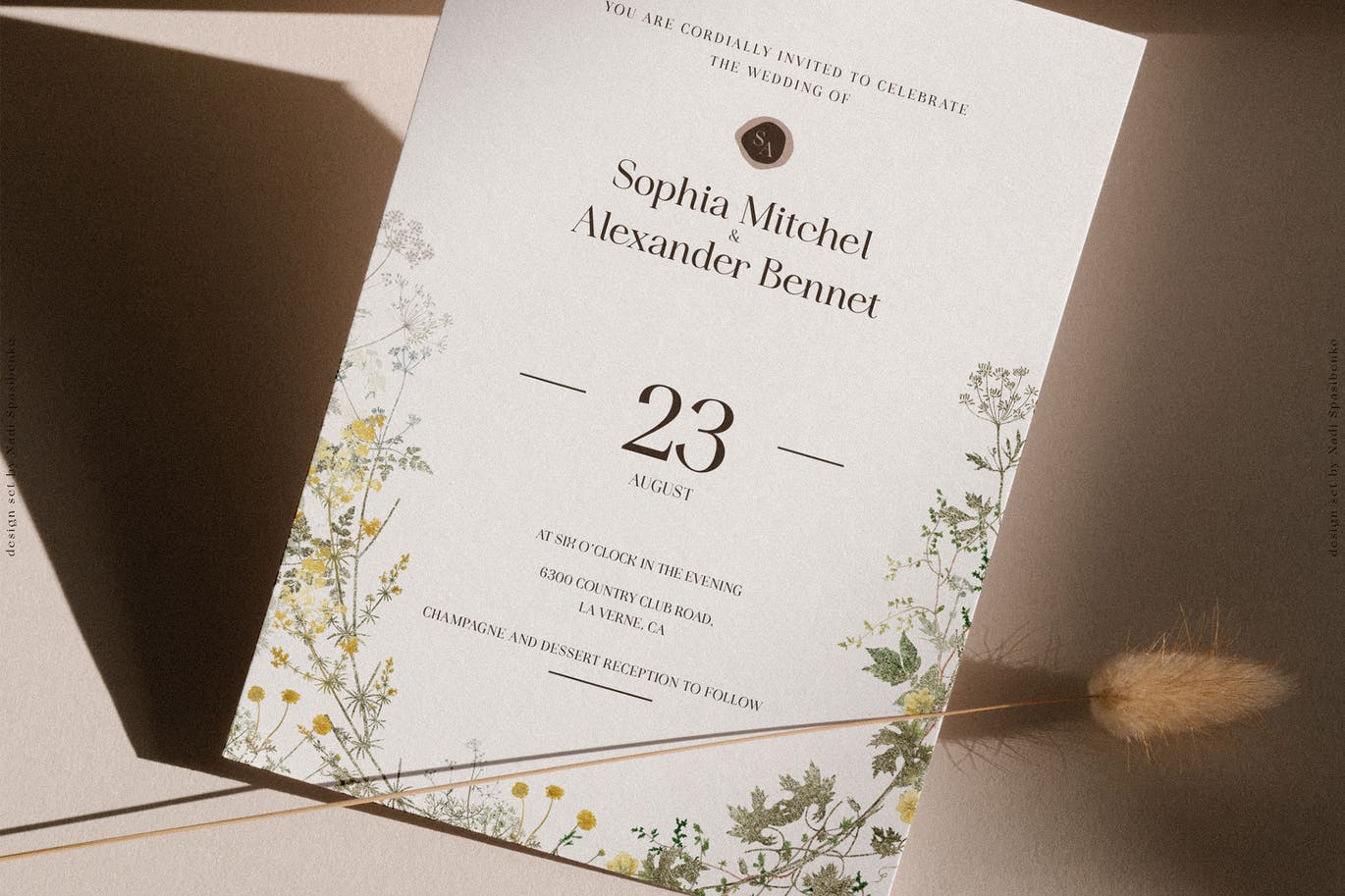 25816658-68d1-4d0d-beed-fd397553ecaf