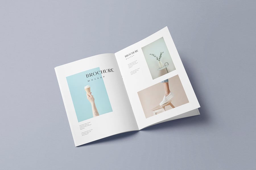 8e78101b-82f6-4e6a-955c-42ed589d9bfb