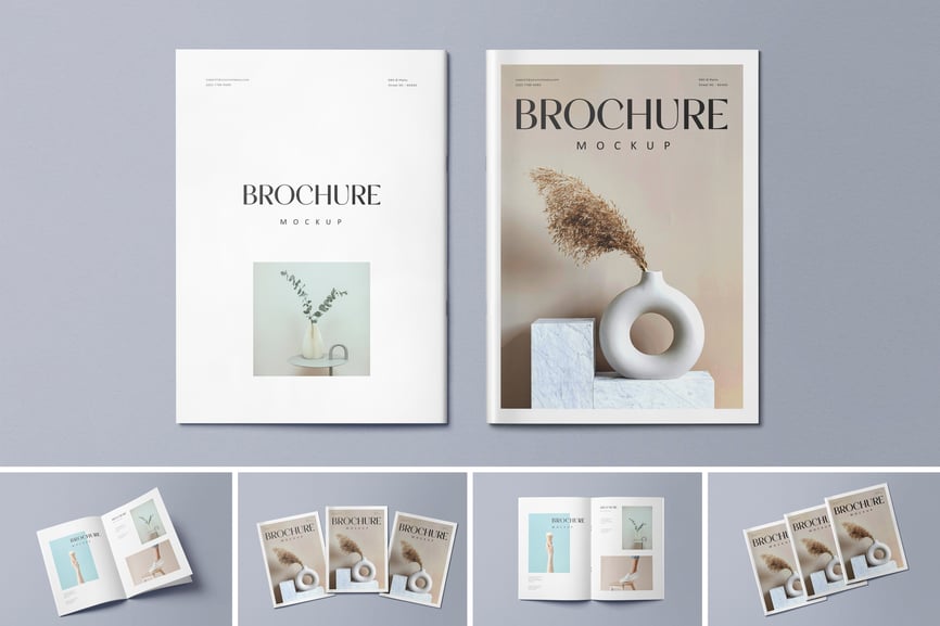 8029d873-cfb7-486d-aba8-aa7eb86a42f9-1