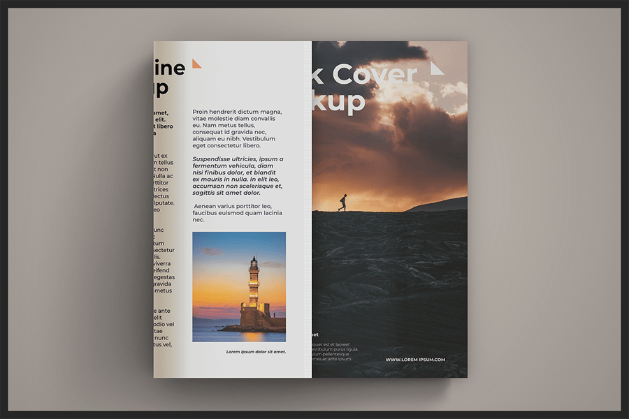 1181e7b2-2075-46ac-bafb-09c71cc45155