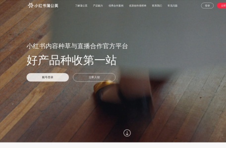 小红书蒲公英