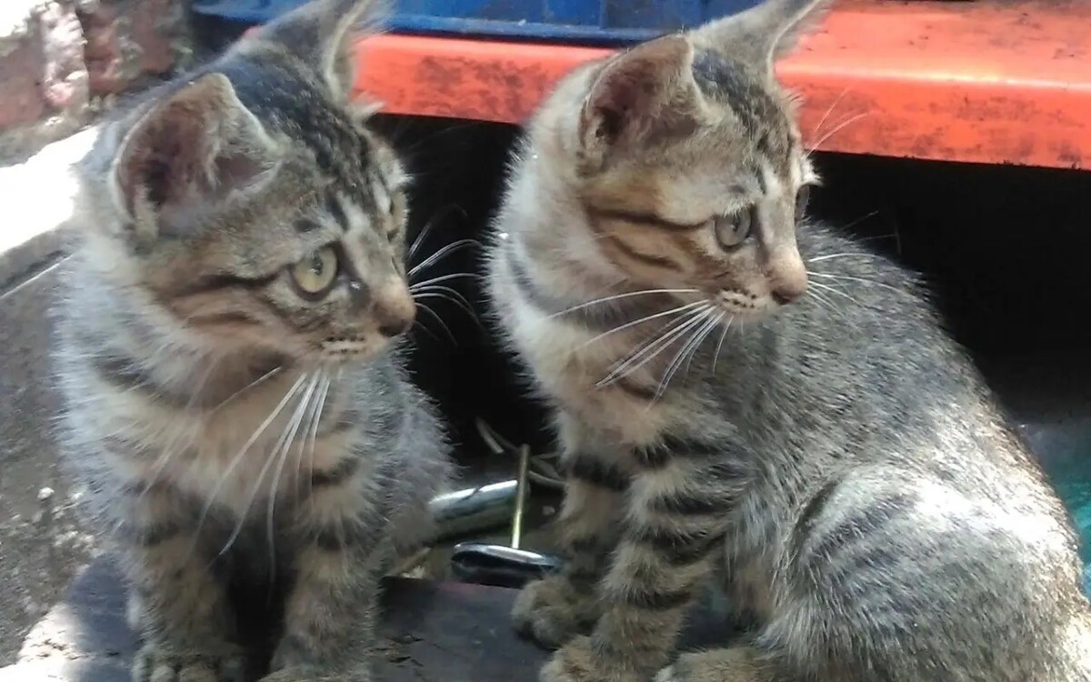 2024081709430486 2024081709430486