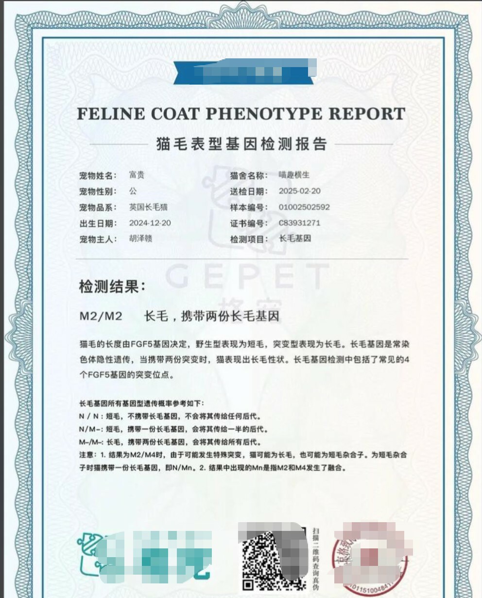 网购宠物猫货不对板怎么办？教你用法律维权拿回公道