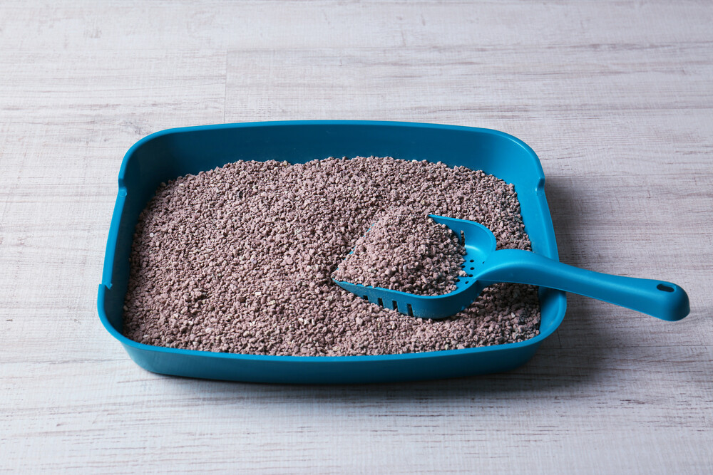 猫砂选择困难?专家对比 6 款猫砂,告别异味粉尘!