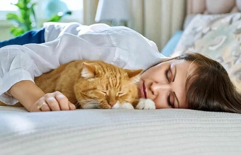 从猫咪睡觉位置，秒懂它把你当妈还是当仆人！