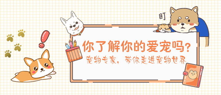 语梦星球 - 猫狗养护 · 百科 · 服务 · 宠物用品