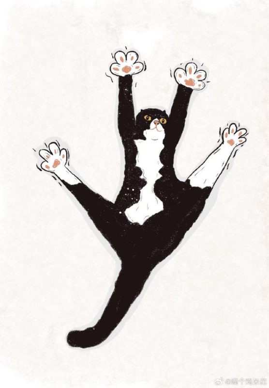 一起左滑看滑稽奶牛四脚朝天吧 “打...打劫～四jio举起来不许动～” - 语梦星球