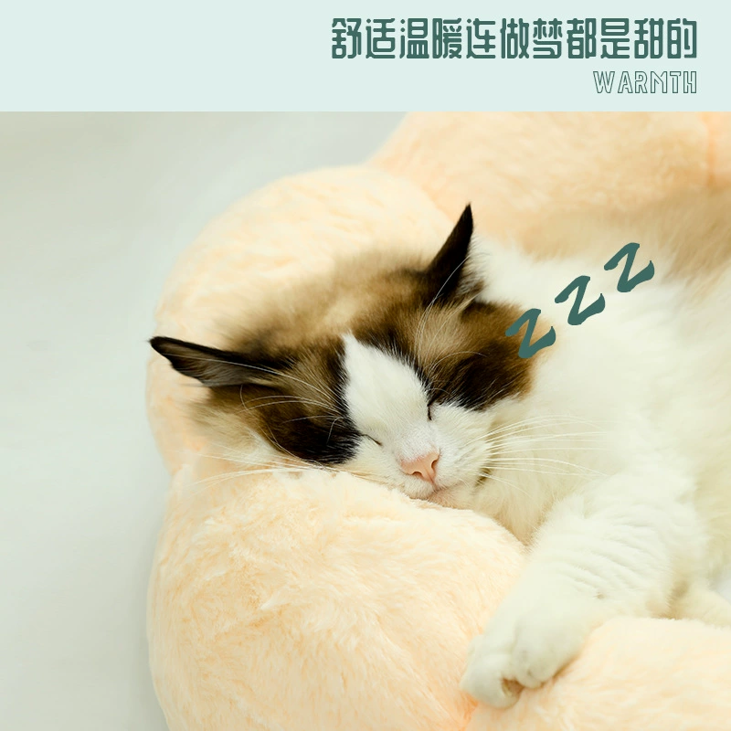 语梦星球 - 猫狗养护 · 百科 · 服务 · 宠物用品