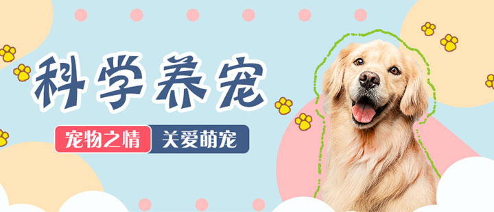 语梦星球 - 猫狗养护 · 百科 · 服务 · 宠物用品