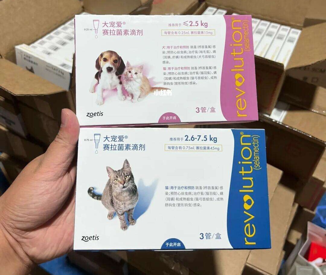 幼猫体外驱虫攻略，5 类驱虫药的选择与用法