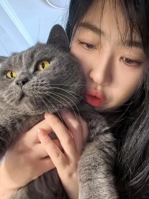 人的真心比不上我的小猫咪 - 语梦星球