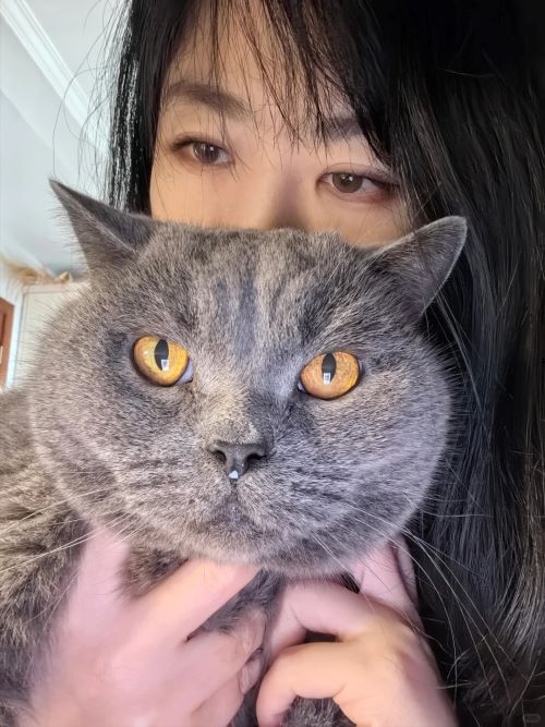 人的真心比不上我的小猫咪 - 语梦星球