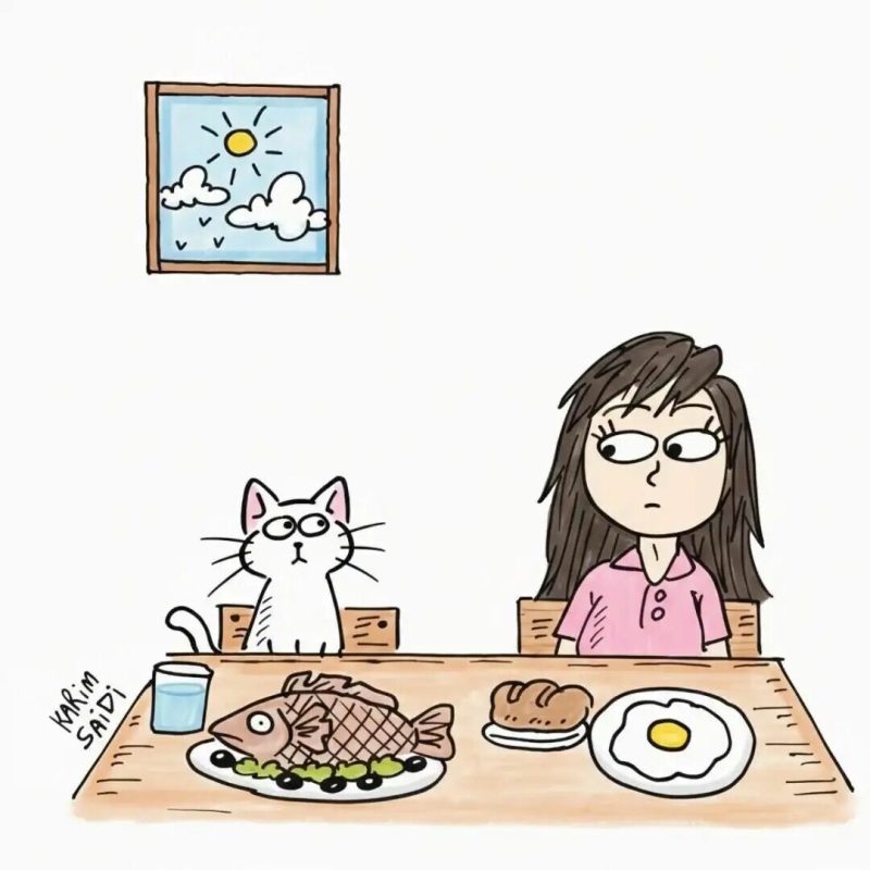 猫咪寿命一般多少年：0-15 岁生命周期全记录 - 语梦星球