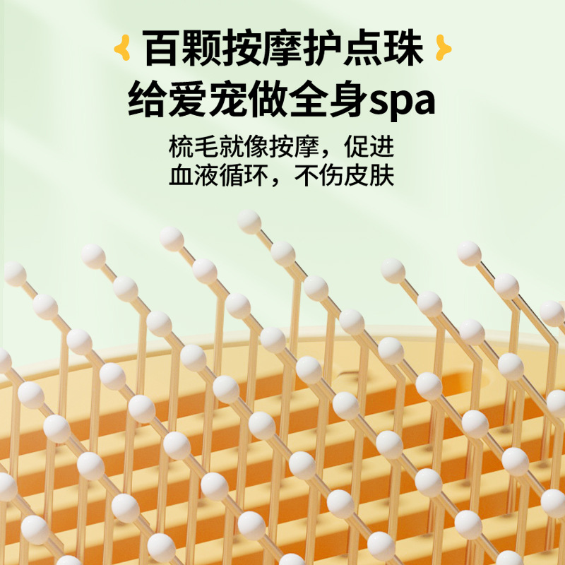 语梦星球 - 宠物知识科普 · 百科 · 用品平台