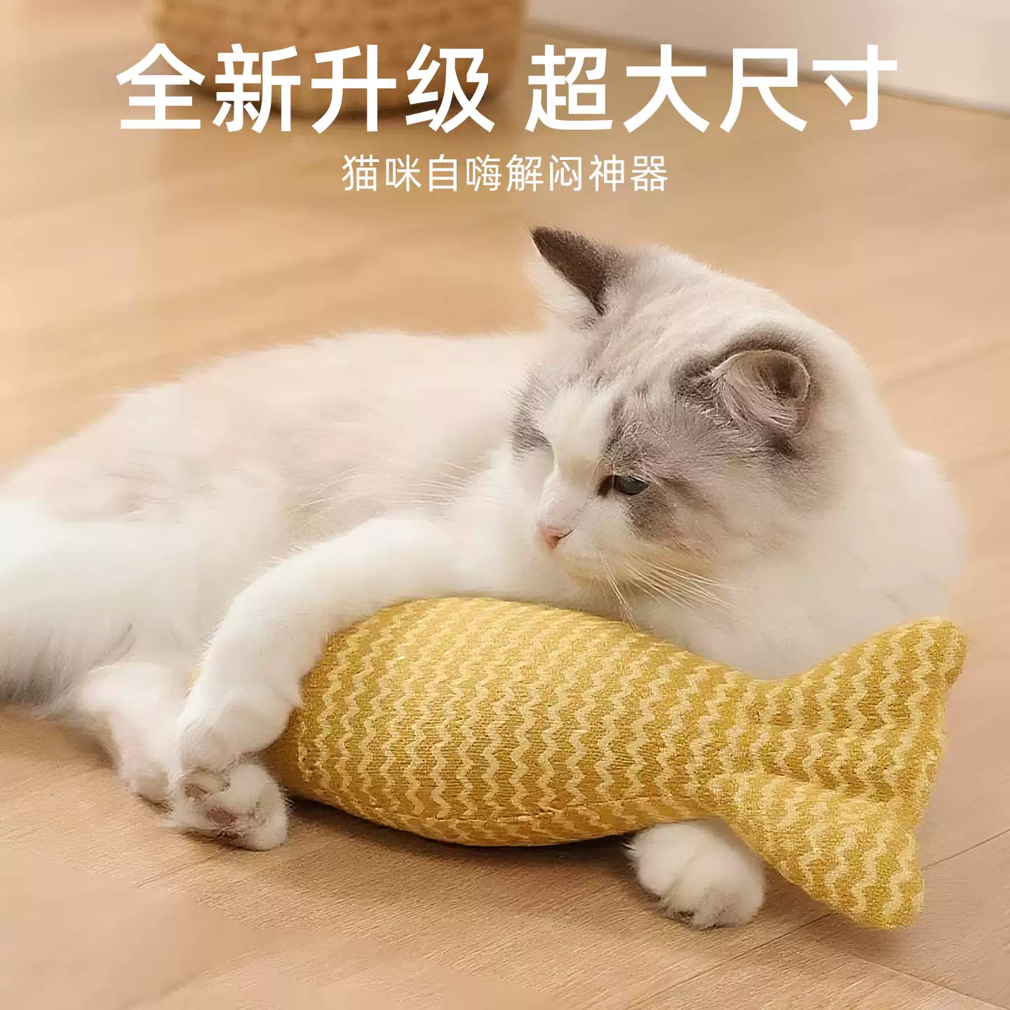 语梦星球 - 宠物知识科普 · 百科 · 用品平台