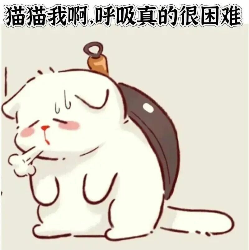 猫咪临终前会跟主人道别吗？揭秘它们临死前的真实表现