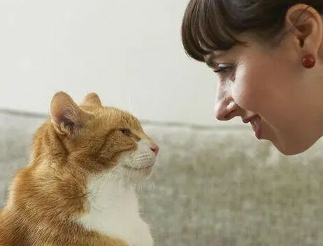 长期养猫有哪些怪癖？这 5 种猫奴专属行为，你中了没？