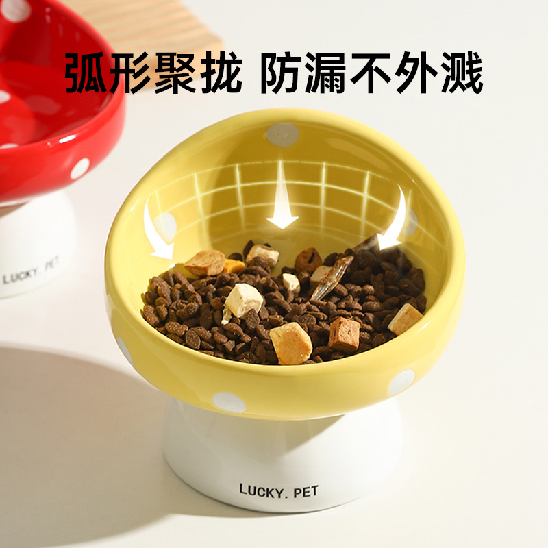 语梦星球 - 宠物知识科普 · 百科 · 用品平台