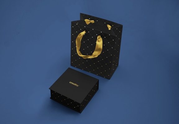 奢华首饰可调色包装盒手提袋样机