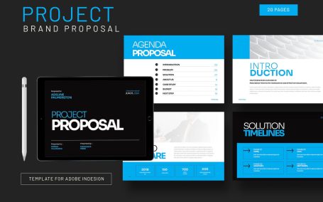 项目提案指南创意模板 (INDD)