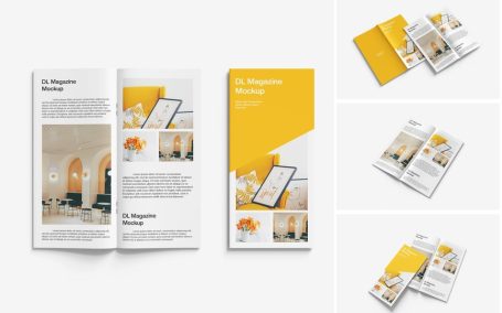 DL杂志模型样机 (PSD)
