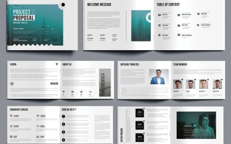 项目建议书布局 (INDD)