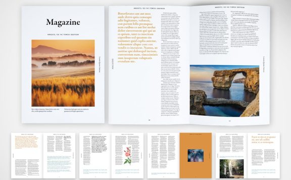 包含采访和有趣文章的小册子 (INDD)