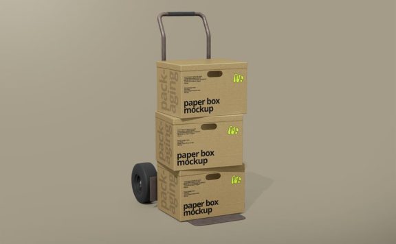 盒子模型样机 (PSD)